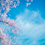 _RTM8851_TP_V