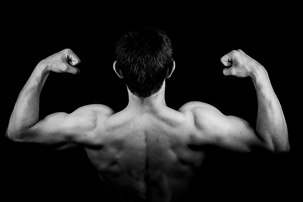 効率的な筋トレ方法は 鍛える順番とスケジューリングのコツを解説 筋肉革命 Body Hack 効率的な筋トレ方法は 鍛える順番とスケジューリングのコツを解説 筋肉革命 Body Hack