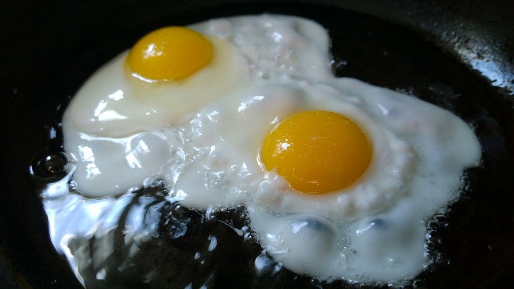 fried-eggs-749393_1280