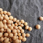 soybeans-182295_1280